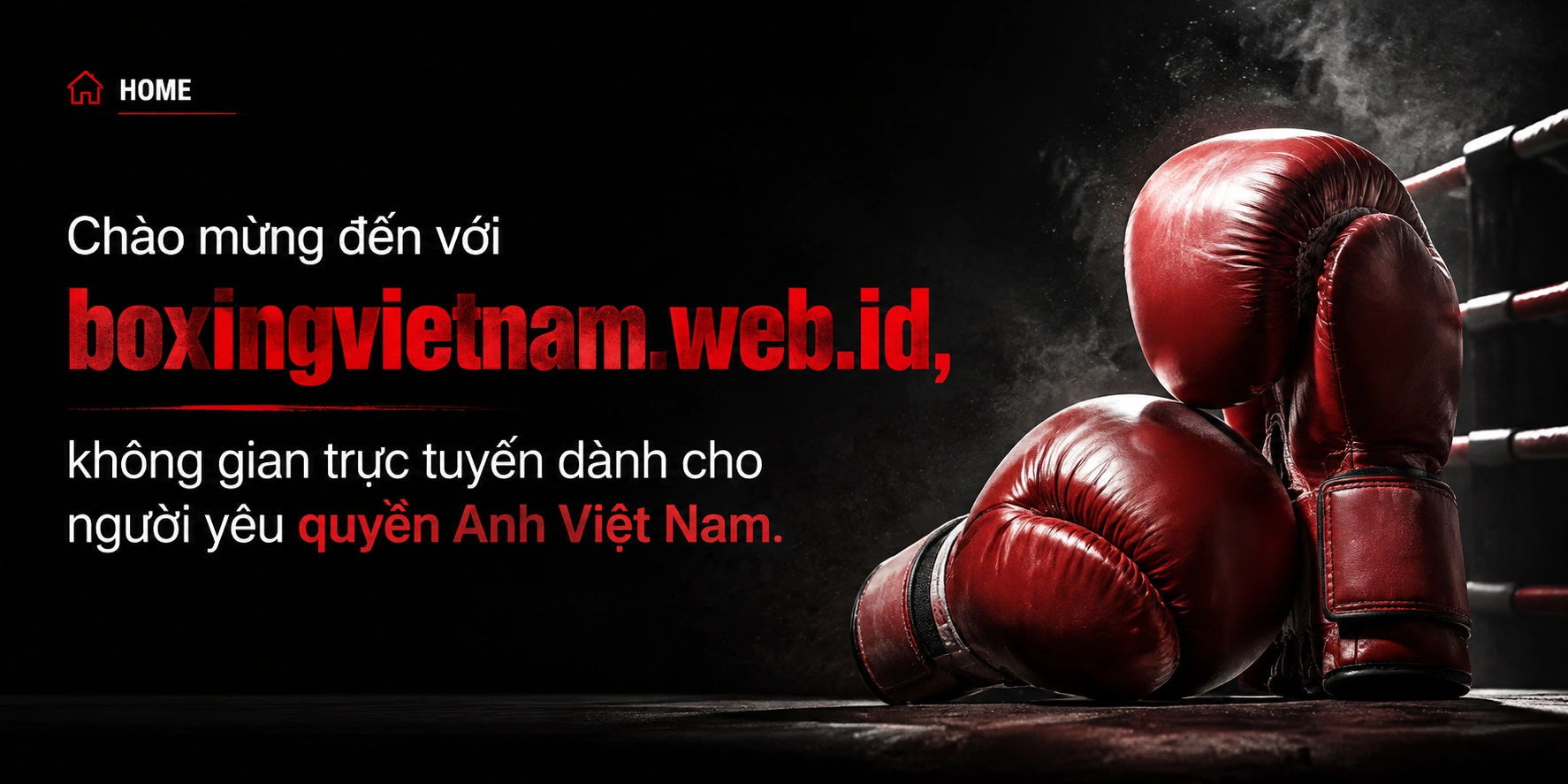 boxingvietnam thể thao 1